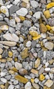 Stone yellow dray diffirent quartz sand background top view round