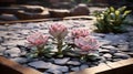 Stonecrop Zen Garden in a Tranquil Courtyard Oasis: Harmonious Balance of Nature and Serenity - AI Generative