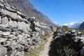 stone aligned path upto kyanging gompa