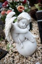 stoned angel sitting on tomb at the cemetery Royalty Free Stock Photo