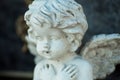 Stoned angel on tomb in cemetery