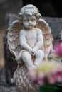 Stoned angel on tomb in a cemetery