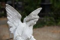 Stoned angel on tomb in a cemetery