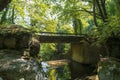 Stoned bridge in Pelion forest Royalty Free Stock Photo