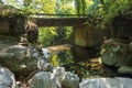 Stoned bridge in Pelion forest Royalty Free Stock Photo