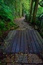 A stoned entrance of Hakone shrine, in the forest in Japan Royalty Free Stock Photo