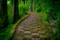 A stoned entrance of Hakone shrine, in the forest in a sunny day in Kyoto, Japan Royalty Free Stock Photo