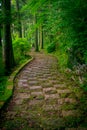 A stoned entrance of Hakone shrine, in the forest in a sunny day in Kyoto, Japan Royalty Free Stock Photo