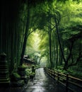 Stoned wet footpath through a bamboo trees forest in Asia