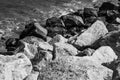 Stones along the rugged coast pacific ocean Royalty Free Stock Photo