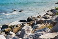 Stones along the rugged coast pacific ocean Royalty Free Stock Photo