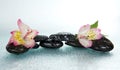 Stones and alstroemeria flower in water drops