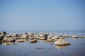 Stones balance on the beach. Place on Latvian coasts called Veczemju klintis Royalty Free Stock Photo