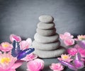 Stones balance with flower lily and butterfly on grey background Royalty Free Stock Photo