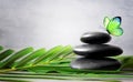 Stones balance, palm and butterfly. Zen and spa concept. Royalty Free Stock Photo