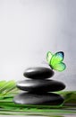 Stones balance, palm and butterfly. Zen and spa concept. Royalty Free Stock Photo