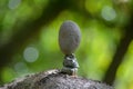 Stones balance in the river, meditation and yoga for the soul