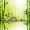 Stones and bamboo forest with reflection in water spa background. Watercolor illustration with space for text Royalty Free Stock Photo