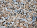 Stones on beach Royalty Free Stock Photo