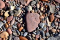 Stones on beach. Decorative texture of stones. Sea stones background. Royalty Free Stock Photo