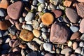 Stones on beach. Decorative texture of stones. Sea stones background. Colored stone on coastline Royalty Free Stock Photo