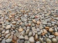 Stones on a Beach Royalty Free Stock Photo