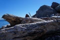 Stones on the Black Sea and the fisherman, panoramas, views.