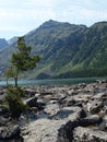 Stones between the bottom and average lake Mult 12