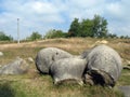 Stones of Carpathian Geology Royalty Free Stock Photo