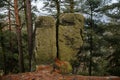 Stones with Celtic runes, mysterious symbols, Hiking Golden Trail of Bohemian Paradise near Vranov castle and Pantheon, sandstone