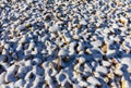 Stones covered by fresh snow