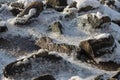 Stones covered with ice and snow close-up. Texture of stones in the snow. Royalty Free Stock Photo