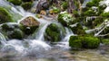 Stones covered with moss in mountain stream