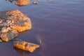 Stones covered with salt Royalty Free Stock Photo