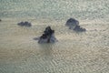 Stones in geothermal water