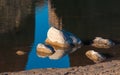 Stones covered with white salt in a shallow river, reflected in water.