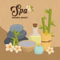 Stones and decoration. Spa center design. Vector graphic Royalty Free Stock Photo