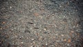 Stones of different colors on the road. River pebbles. Royalty Free Stock Photo