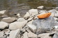 stones of different sizes of light gray color and one bright orange oval stone on the bank of a mountain river