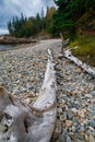 Stones & Driftwood, Little Hunters Beach, Acadia National Park, Maine Royalty Free Stock Photo