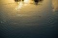 stones fall into the water and draw wide circles of water