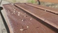 Stones falling on wooden bench