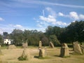 Stones in a field