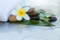 Stones, flower, towel and leaves for massage