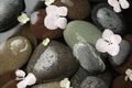 Stones and flowers in water as background. Zen lifestyle Royalty Free Stock Photo