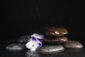 Stones and flowers in water on background, space for text. Zen lifestyle Royalty Free Stock Photo
