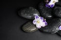 Stones and flowers in water on background. Zen lifestyle Royalty Free Stock Photo