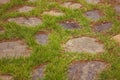 Stones and grass Royalty Free Stock Photo