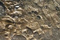 Stones, gravel and water texture at the beach Royalty Free Stock Photo