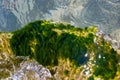 stones with green algae in clear sea water Royalty Free Stock Photo